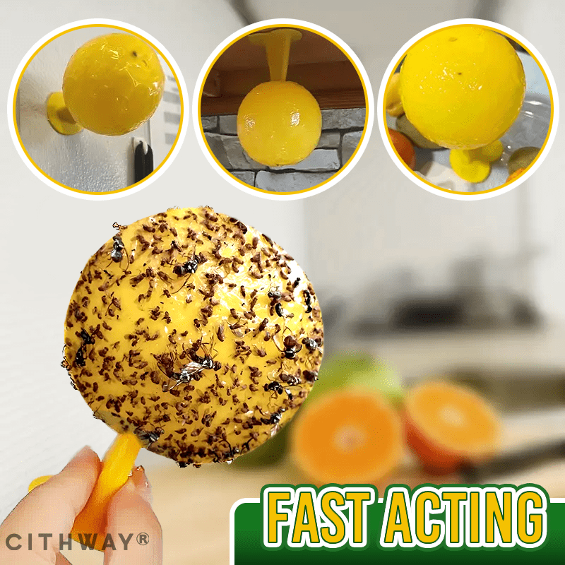 Cithway® Sticky Fly Trap Ball