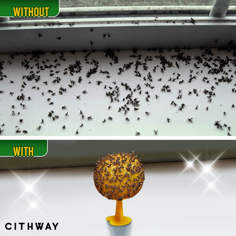 Cithway™ Sticky Fly Trap Ball