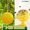 Cithway™ Sticky Fly Trap Ball